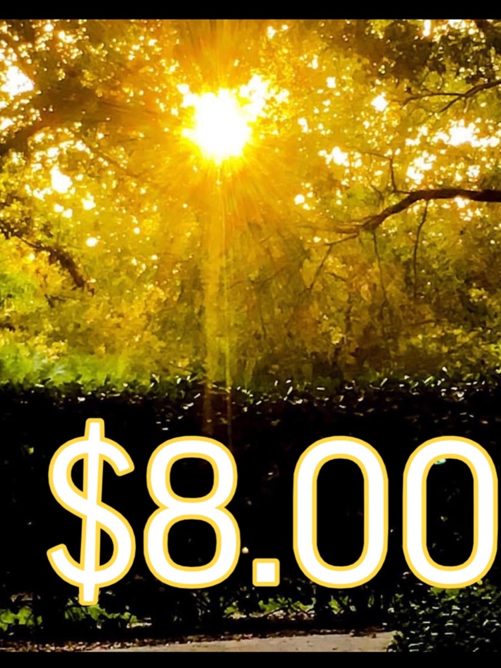 Listing for Live Show Only. $8.00 Sale Listing